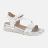 220832 Blanco - 3635 - 79,99 €