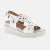 220902 Blanco - 3641 - 89,99 €